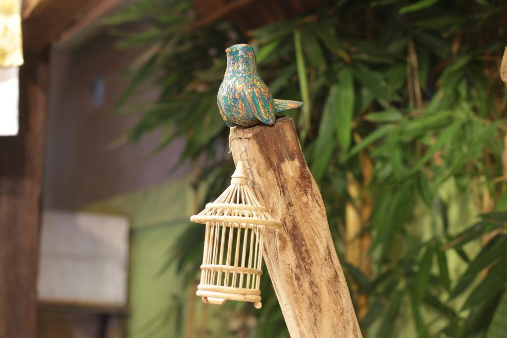 Green Bird Villa Ubud Exterior foto